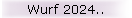 Wurf 2024..