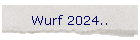 Wurf 2024..